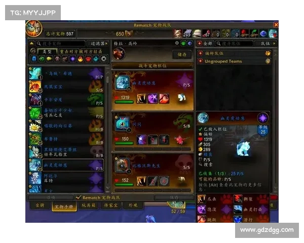 魔兽世界宠物等级提升攻略